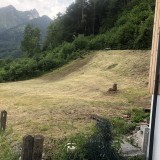 IMG 0005